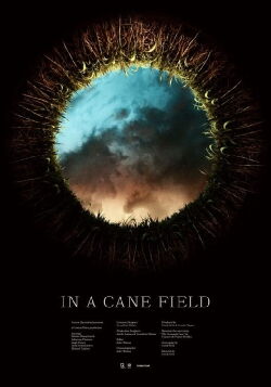 In a Cane Field (2016)