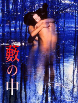 In a Thicket (1996)