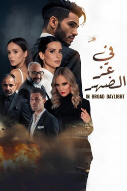 In Broad Daylight (2025)