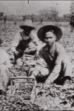 In No One's Shadow: Filipinos in America (1988)
