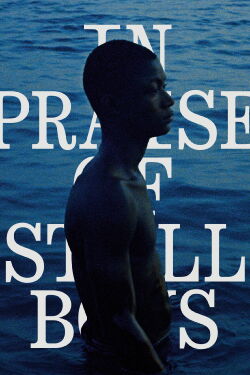 In Praise of Still Boys (2020)