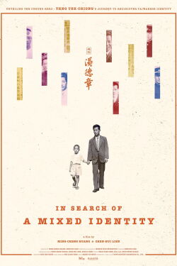In Search of a Mixed Identity (2024)