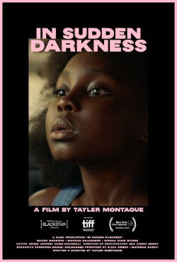 In Sudden Darkness (2020)