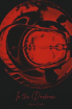 In the Darkroom (2013)