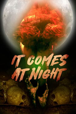 In the Light of the Night (2022)
