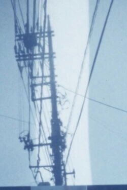 In the Spring Season (1992)