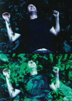 In the Stone House (2012)