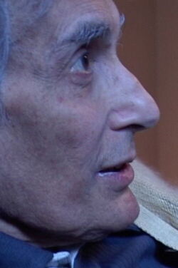 In viaggio verso Alberto Grifi (2006)