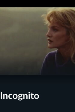Incognito (1990)