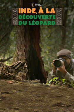 Inde, à la découverte du léopard (2020)