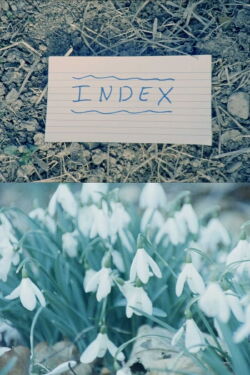 Index (2018)