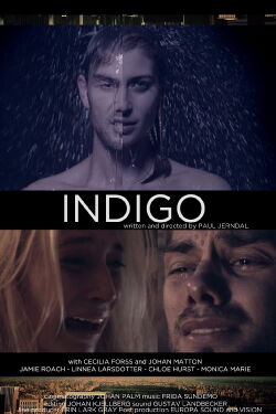 Indigo (2014)