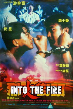 Into the Fire (1989)