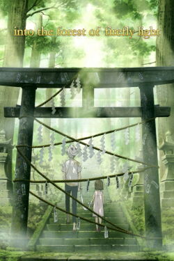 Into the Forest of Fireflies' Light (2011)