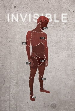 Invisible (2013)