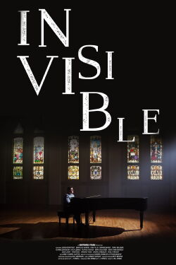 Invisible: Gay Women in Southern Music (2021)