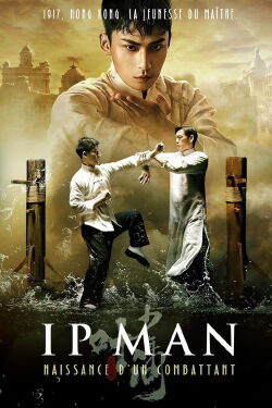 Ip Man : Naissance d'un combattant (2020)