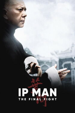 Ip Man: The Final Fight (2013)