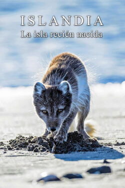 Islandia, La Isla Recién Nacida (2018)