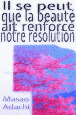 It May Be That Beauty Has Strengthened Our Resolve - Masao Adachi (2011)