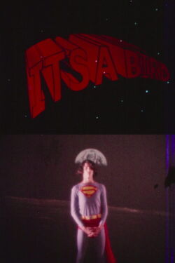 It's a Bird (1971)