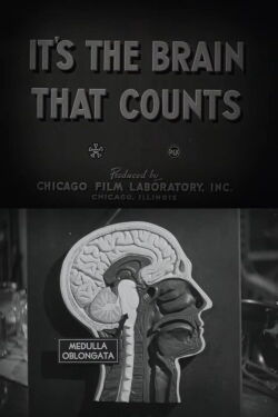 It's the Brain That Counts (1943)