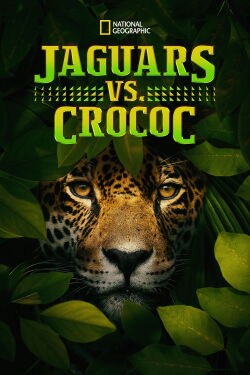 Jaguar vs. Croc (2017)
