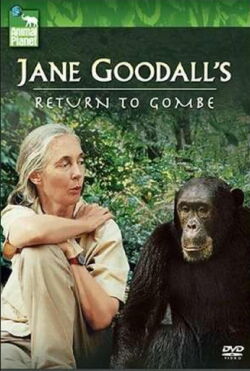 Jane Goodall's Return to Gombe (2004)