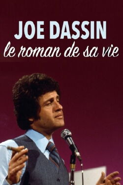 Joe Dassin, le roman de sa vie (2014)