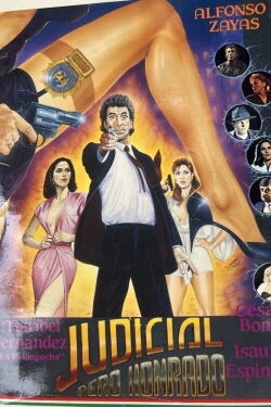 Judicial pero honrado (1991)