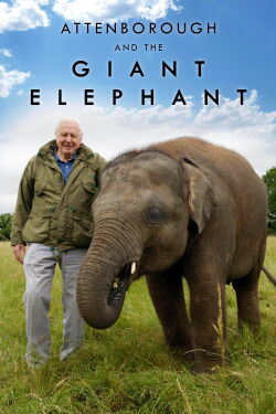 Jumbo. Una historia de película (2017)