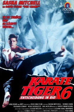 Karate Tiger 6 - Entscheidung in Rio (1992)