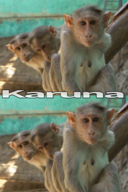 Karuna (2016)