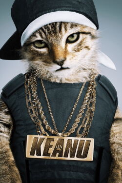 Keanu (2016)
