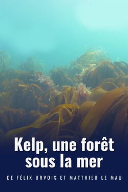 Kelp, une forêt sous la mer (2022)