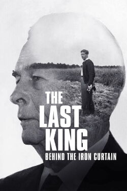 King Michael: The Journey Home (2021)