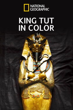 King Tut In Color (2021)