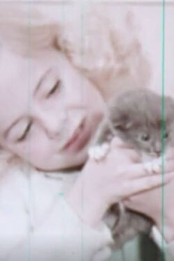 Kittens: Birth and Growth (1957)