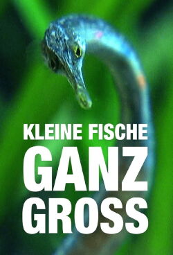 Kleine Fische ganz groß (2019)
