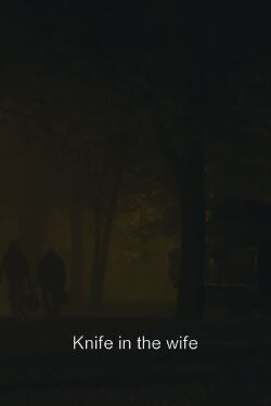 Knife in the Wife (2014)