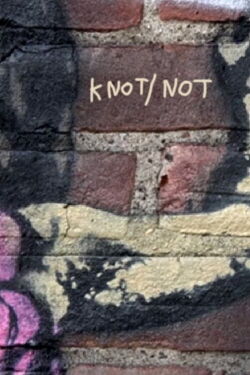 Knot/Not (2019)