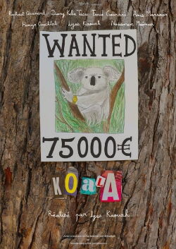 Koala (2022)