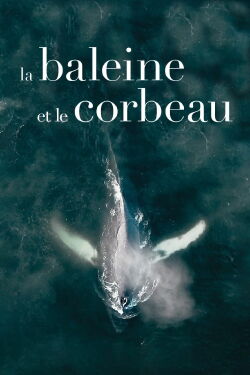 La Baleine et le Corbeau (2019)