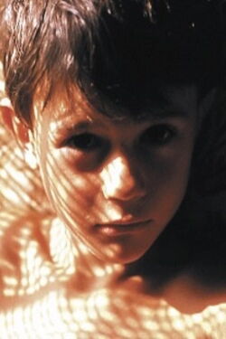 La Belle Étoile (2004)