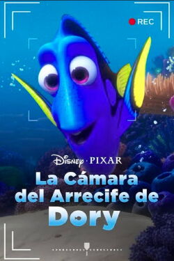 La Cámara del Arrecife de Dory (2020)