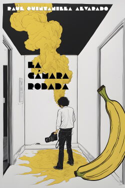 La cámara robada (2005)