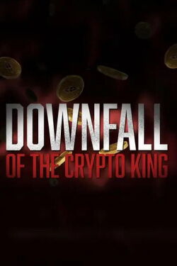 La chute du Roi de la Crypto (2024)