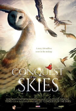 La conquista de los cielos de David (2016)