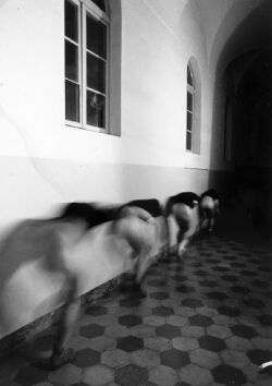 La divina provvidenza (1992)