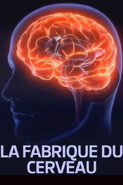 La fabrique du cerveau (2017)